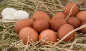 9 rzeczy, które warto wiedzieć o jajkach!